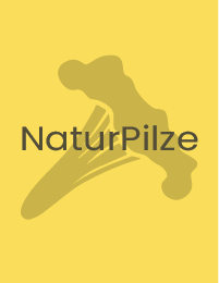 NaturPilze