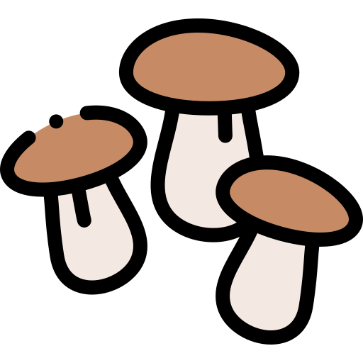 mushroom.png